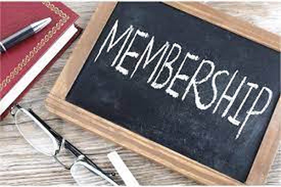 make money from your blog from membership program